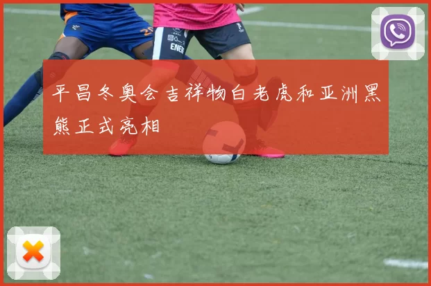 平昌冬奥会吉祥物白老虎和亚洲黑熊正式亮相