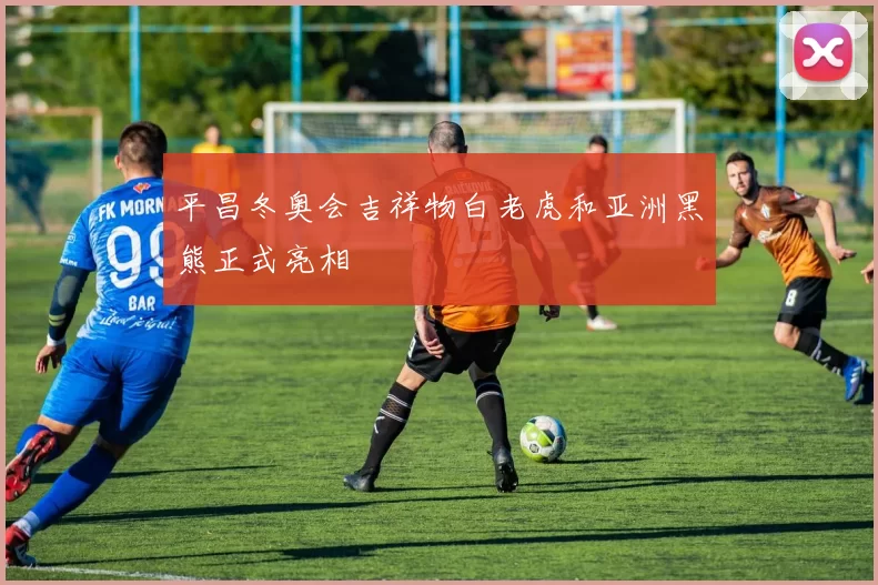 平昌冬奥会吉祥物白老虎和亚洲黑熊正式亮相