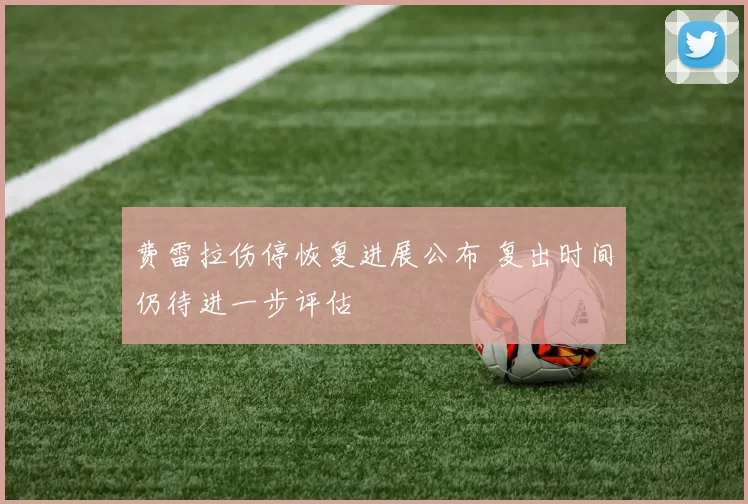 费雷拉伤停恢复进展公布 复出时间仍待进一步评估