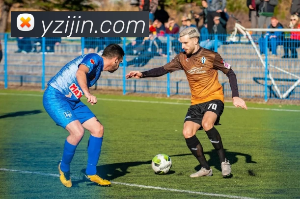 开云官方端网站登录入口 - 开云(中国)平台生态图